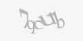 Защитный код